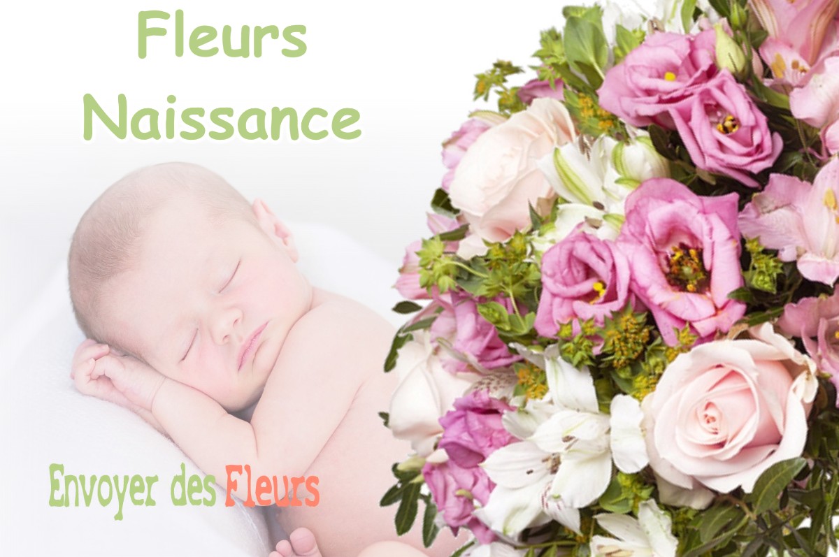 lIVRAISON FLEURS NAISSANCE à LE-CLAON